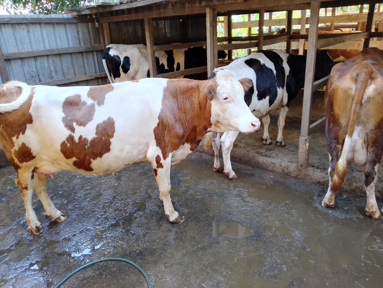 Blog